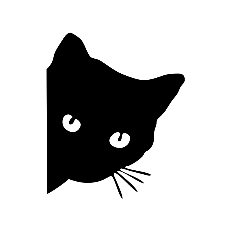 Car interior stickers black/wh - Interior Design Intern recension och pris
